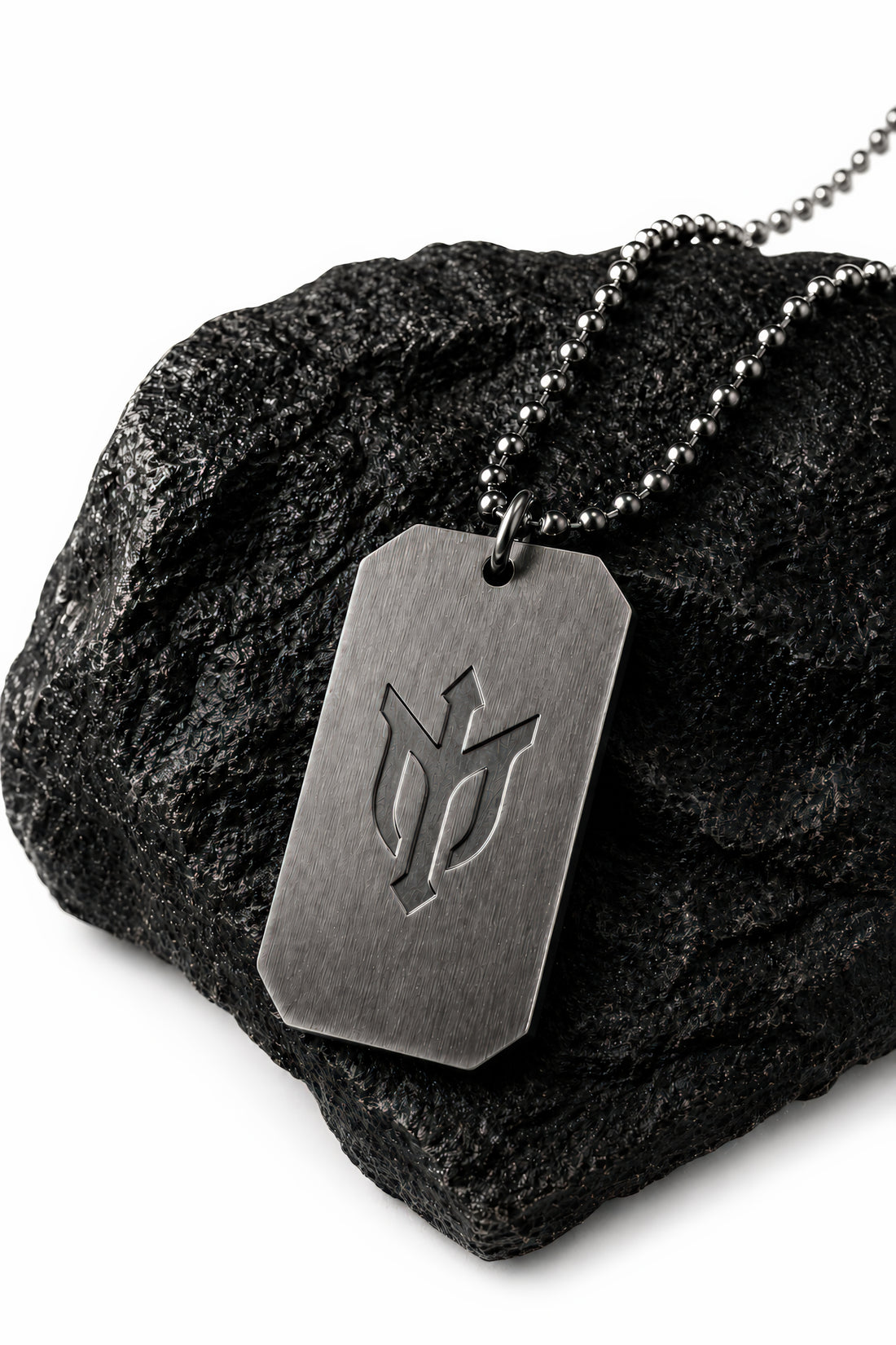 Stainless Steel Dog Tag