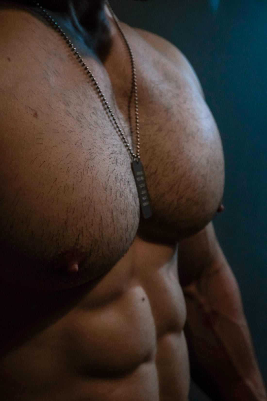 Stainless Steel Dog Tag